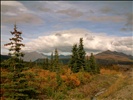 On the way into Denali National Park